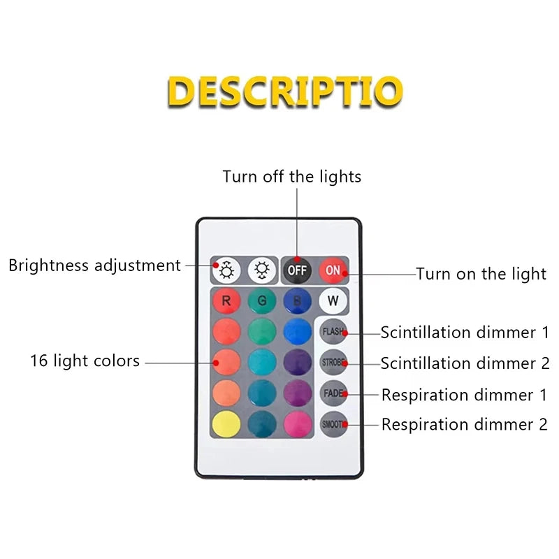 https://cdn.dropmagic.ai/medias/0a72f319-34a0-43aa-903b-552cac2e3d93.webp